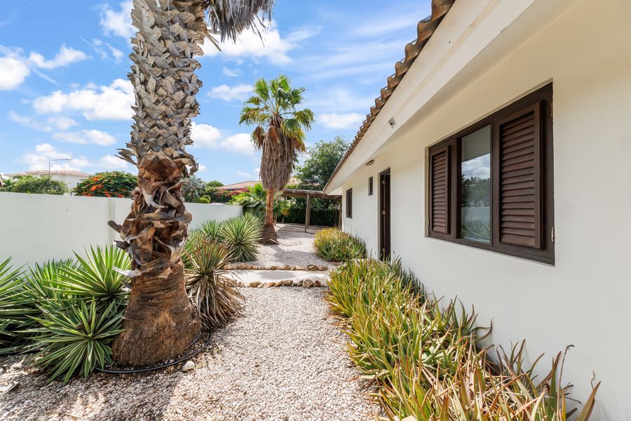 Het tuinpad langs het huis met een hoge palm