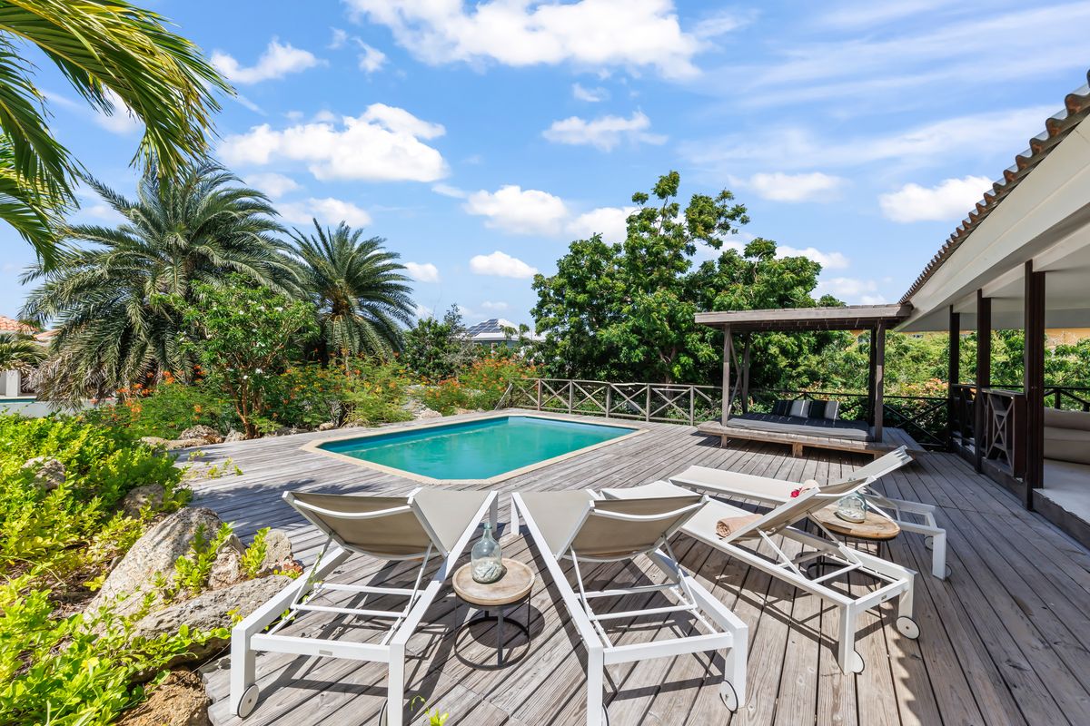 Sunbeds at the pool among the palms