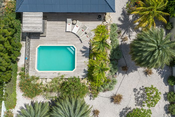 The pool seen straight from above